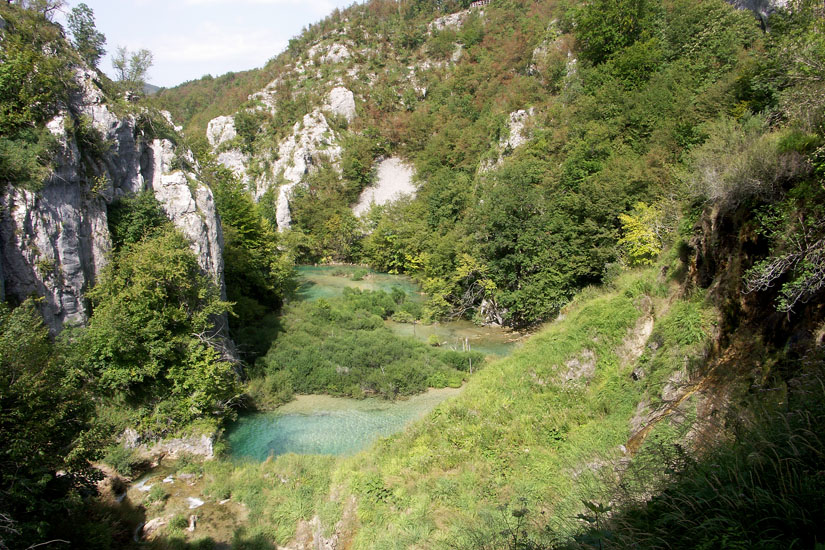 Obraz 161